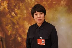 全国人大代表孙元华：加快制定实